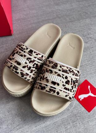 Шльопанці puma | шльопки пума | взуття | леопардовий принт