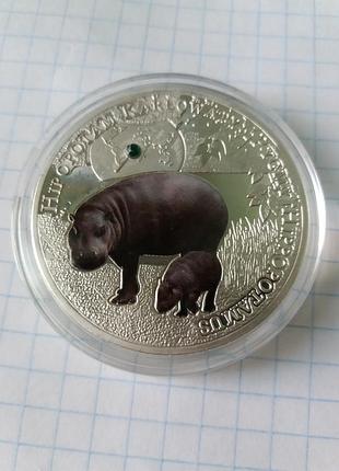 1000 квача. бегемот. 2014.