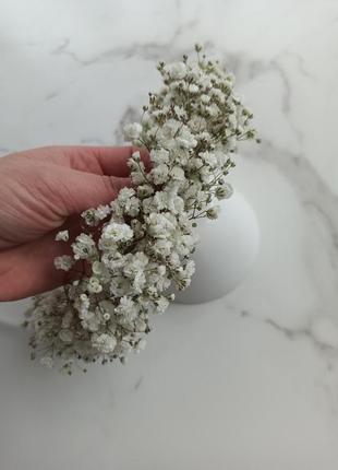 Венчик из живых цветов венчики из гипсофилы на первоетяжение крещения свадьбы