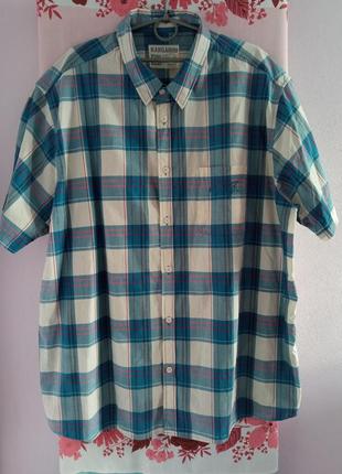 ‼️батал‼️ мужская одежда/ летняя рубашка в клетку 🩵 64/66/7xl размер, пог 73 см, 100% cotton