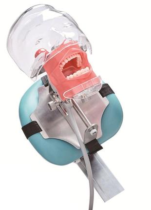 Стоматологічний тренувальний фантом з моделлю зубів