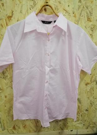 Рожева сорочка рубашка безрукавка