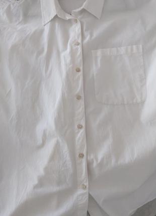 Белая блузка рубашка длинные рукава