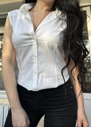 Блузка, рубашка