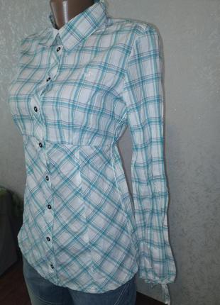 Белая женская рубашка в клетку mustang 🐎 сорочка женская, распродажа, женская одежда обувь аксессуа1 фото
