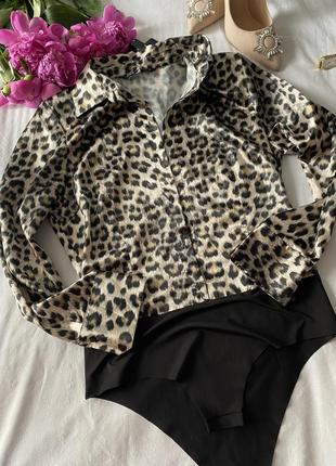Блуза-боді леопардова