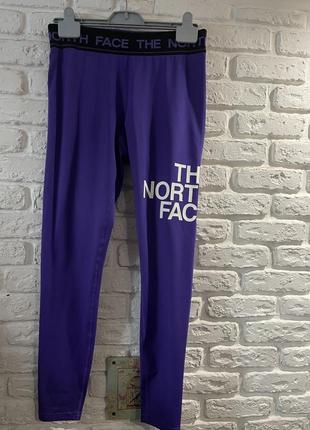 Лосины the north face