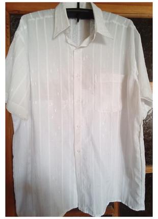 Чоловіча сорочка з коротким рукавом.класичний варіант 
1 накладна кишеня. 
колір білий. 
стан дуже хороший