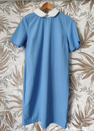 Сукня пряма діловий стиль плаття з воротніком  vanessa розмір s 42 44 італійська сукня