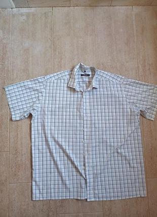 Мужская рубашка