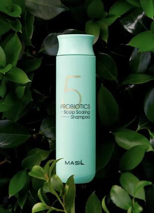Глибокоочисний шампунь masil 5 probiotics scalp scaling shampoo з пробіотиками 300мл
