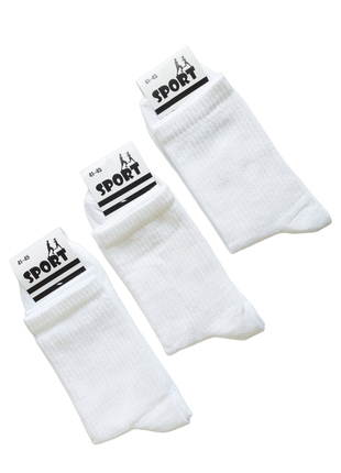 Набір 6 пар білі чоловічі високі шкарпетки "sport" 41-45р теніс, демісезонні високі білі шкарпетки