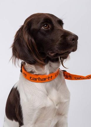 Ошийник та повідець carhartt / script dog leash & collar carhartt