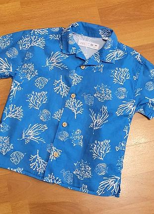 Тенниска детская zara disney 2/3г