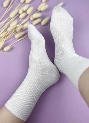 Жіночі високі демісезонні,літні шкарпетки в рубчик корона 36-41р.білі