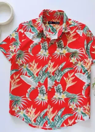 Гавайская рубашка next для роста 134 см