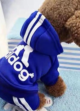 Одяг для собаки спортивний костюм