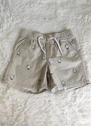 Бавовняні шорти