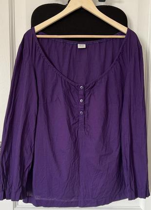 Блузка кофта с длинным рукавом esprit фиолетовая