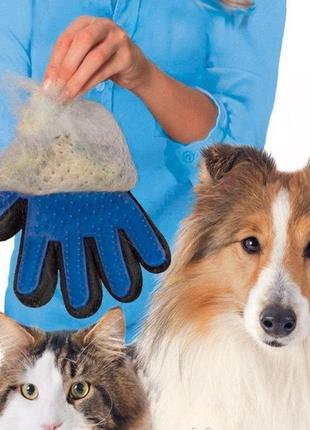 Масажна рукавичка для котів і собак true touch рукавичка для вичісування кішок і собак і чищення тварин