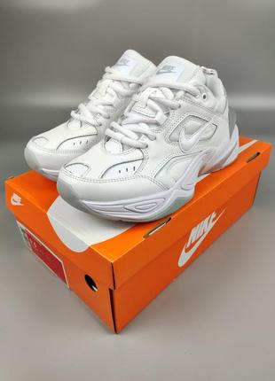 Кроссовки nike m2k tekno white platinum