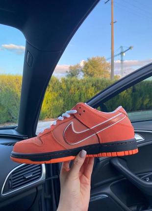 Nike sb dunk low concepts orange lobster