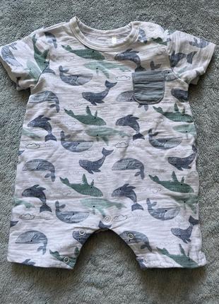 Песочник с китами