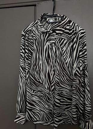 Актуальная женская рубашка в зебре hm