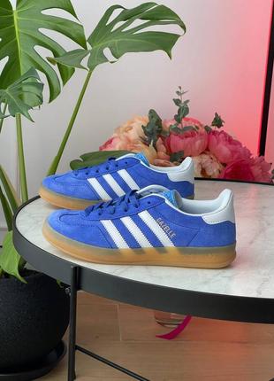 Кросівки adidas gazelle indior shoes blue hq8717