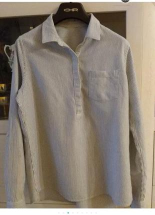 Белая блуза в серую трендовую полоску zara