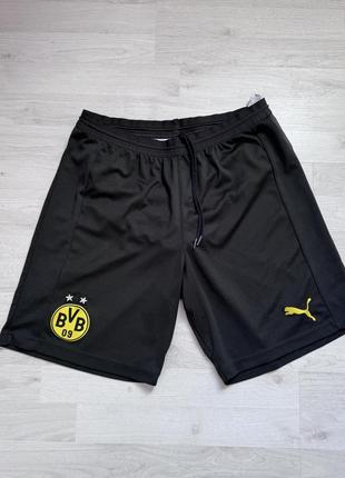 Шорти borussia dortmund