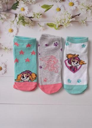 Шкарпетки короткі дитячі paw patrool від 19 до 34