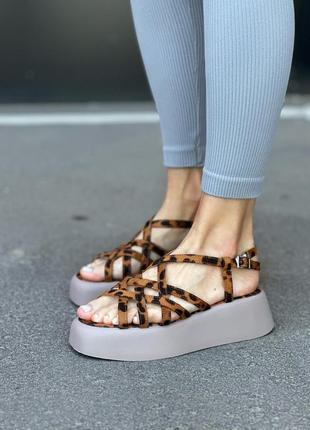 Жіночі босоніжки принт лео