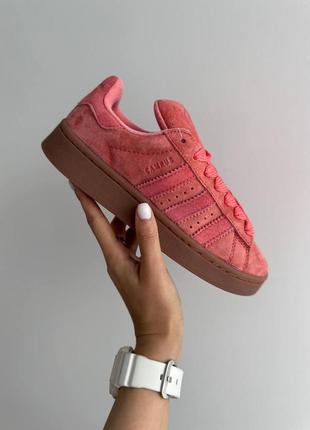 Жіночі кросівки адідас кампус премімум / adidas campus ´peach / gum’ premium