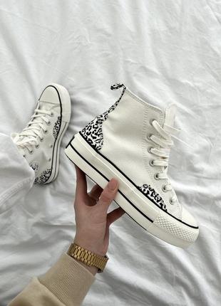 Converse 40