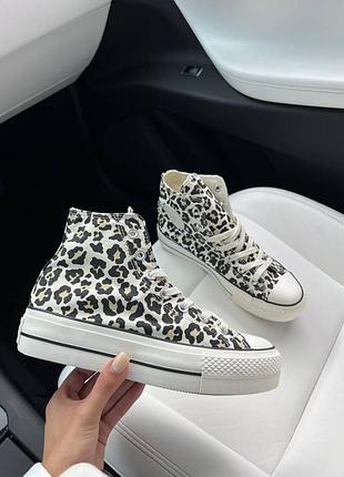 Жіночі кеди converse platform leopard конверс леопардового кольору