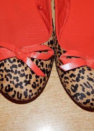 Туфли леопард фирмы zara3 фото