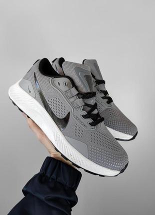 Nike zoom pegasus gray