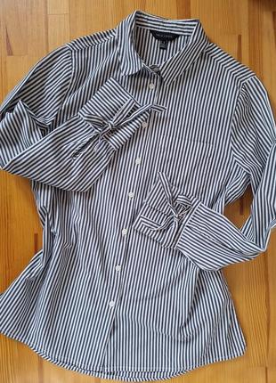 Смугаста сорочка new look бавовняна бавовна базова з зав'язками блуза рубаха рубашка блузка в смужку полоску хлопкова