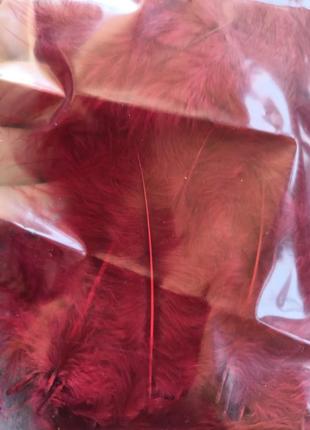 Декоративные перья. упаковка 100 шт. цвет бордо