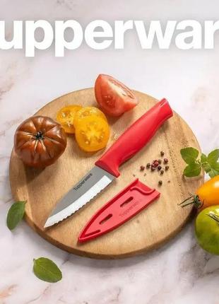 Нож для овощей "гурман" tupperware
