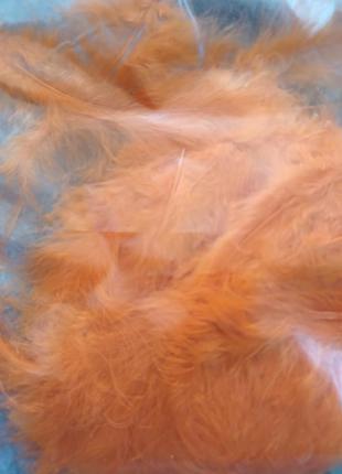Декоративные перья. упаковка 100 шт. цвет оранжевый