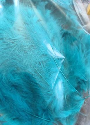 Декоративные перья. упаковка 100 шт. цвет голубой