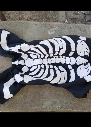 Собача курточка.