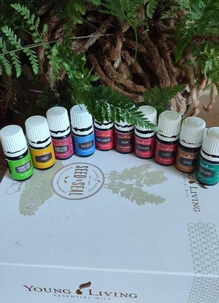 Маслянки young living