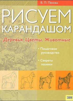 Руководство с рисованием карандашом1 фото