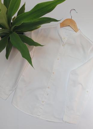 Нарядная белая рубашка zara