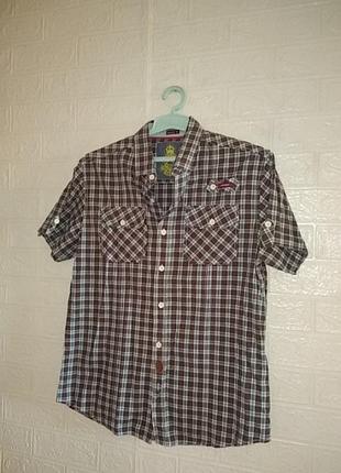 Рубашка в клетку коричневая с коротким рукавом