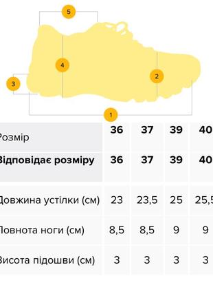 Жіночі крокси6 фото