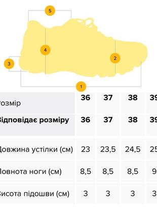 Жіночі крокси5 фото